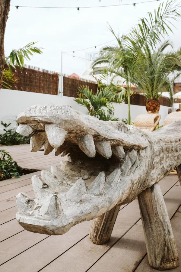 A Pousada Dreamsea Surf House Fuerteventura Corralejo Exterior foto